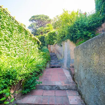 Helloelba Le Tortore